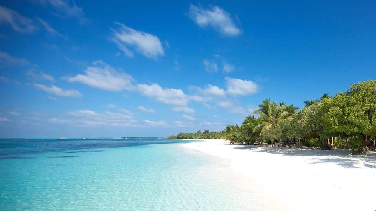 Myrtle Boutique Hotel دونغ دونغ المظهر الخارجي الصورة